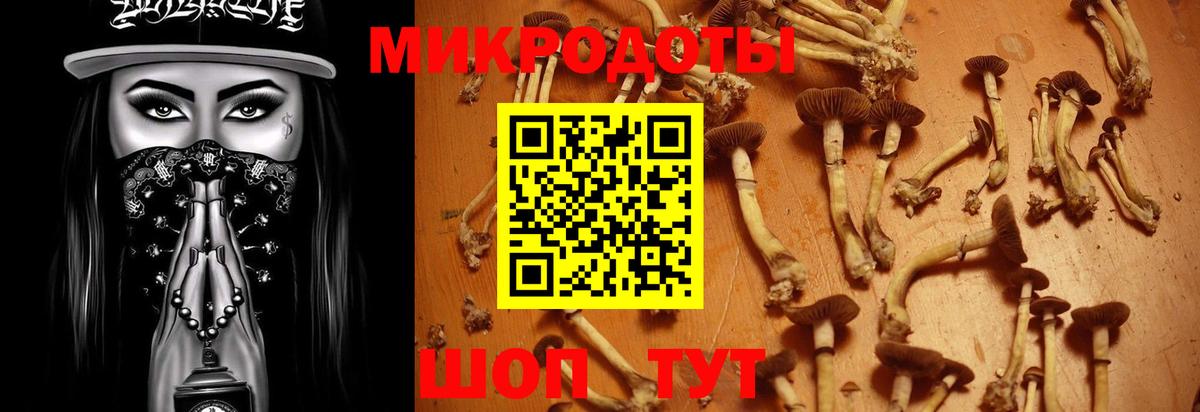Псилоцибиновые грибы Magic Shrooms Алатырь